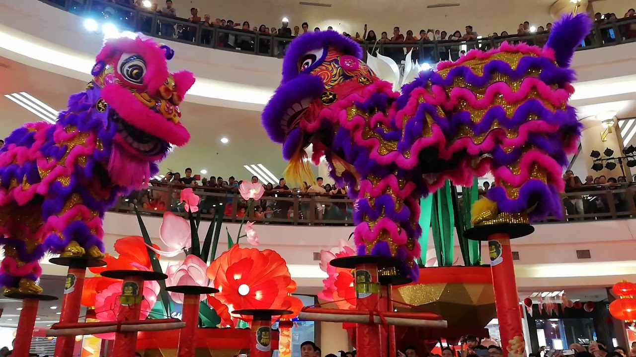 Acrobatic Lion Dance CNY 2019 (Khuan Loke Lion and Dragon Dance Association) 5/2/2019