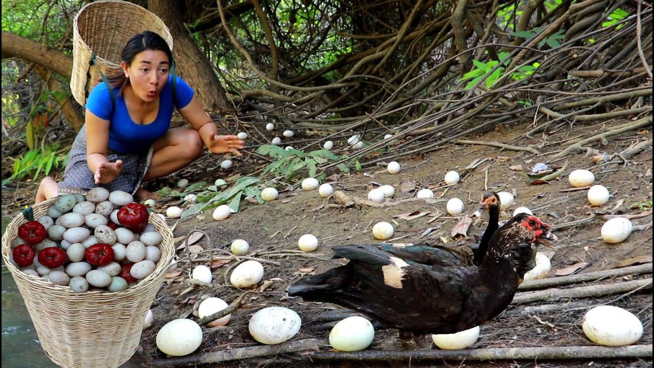 Catch duck and pick egg- Cooking egg with eggplant so delicious for survival