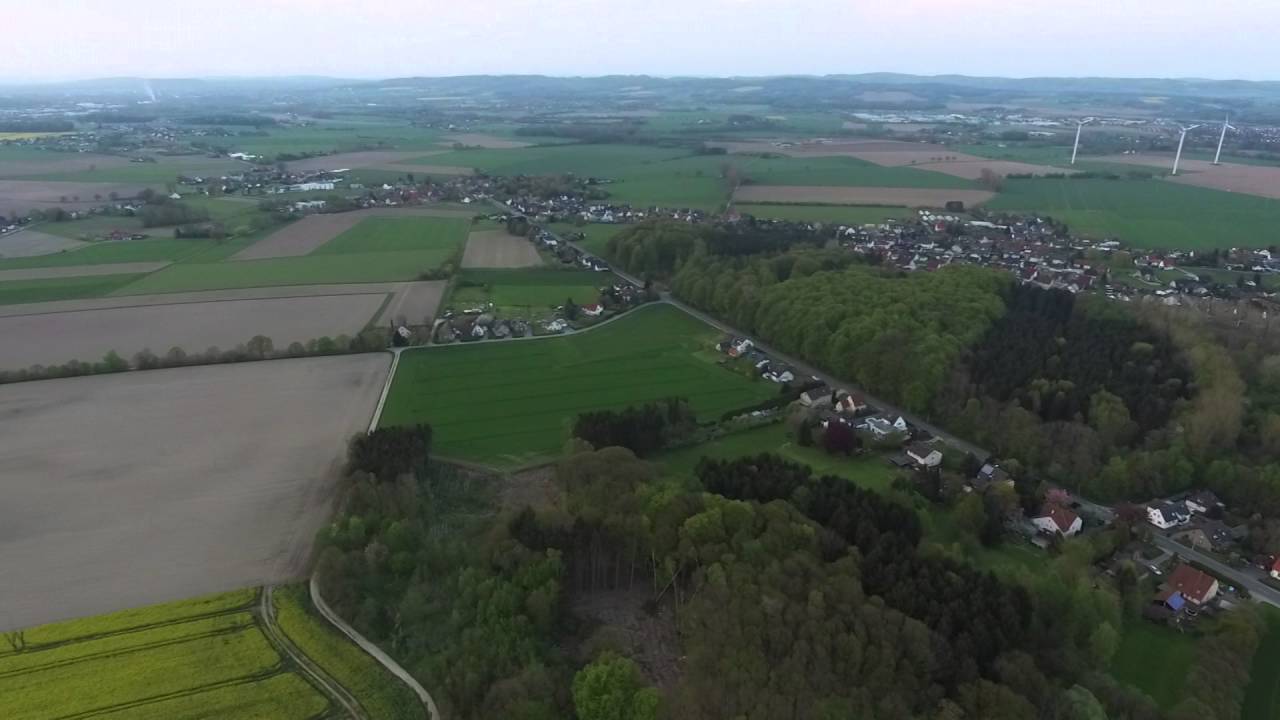 Stadtwald Lage
