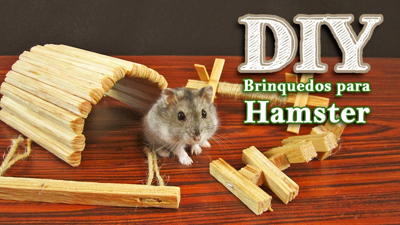 DIY Brinquedos para hamsters roerem