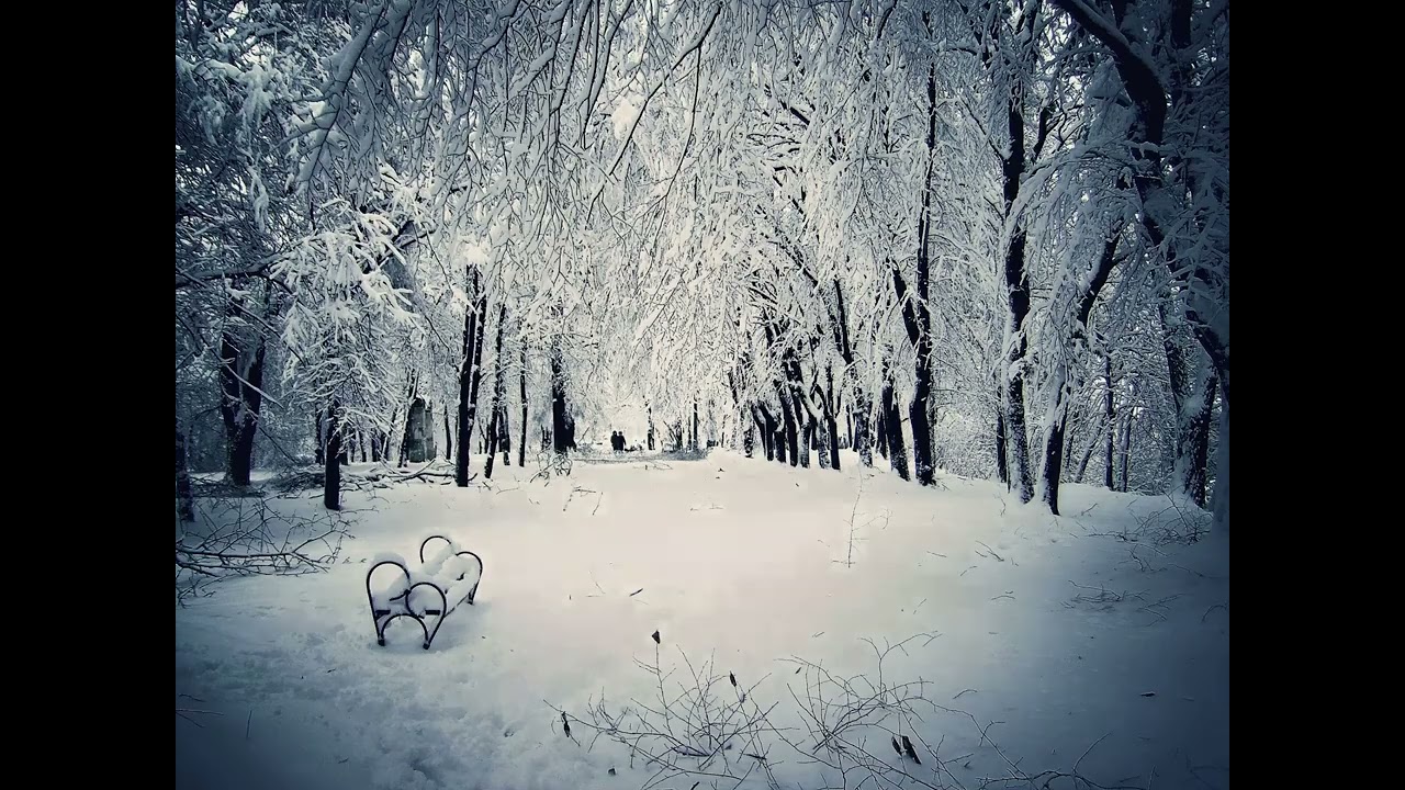 Waiting for Santa Claus &ndash; Arctic Polaric Band