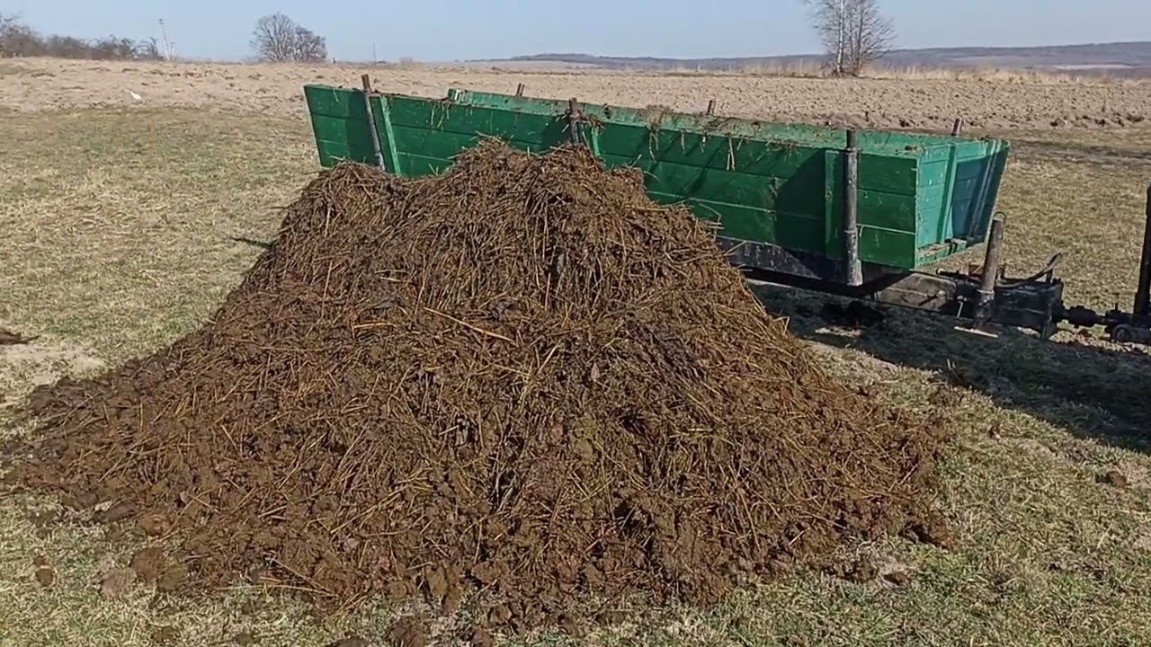 Везу гній саморобним трактором
