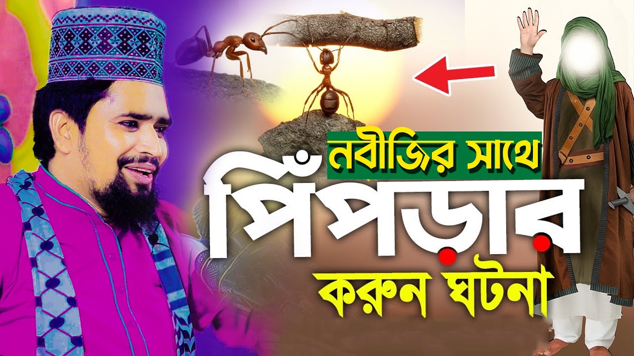 নবীজির সাথে পিপিলিকার করুন ঘটনা | Maulana Mosharraf Hossain Salahudin | Bangla New Waz 2026