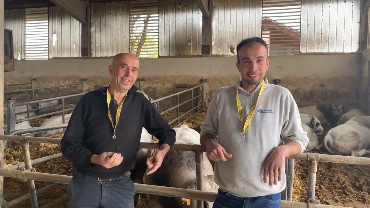 Allevare bovini di padre in figlio, la storia di Marco e Michelangelo Roll&egrave;