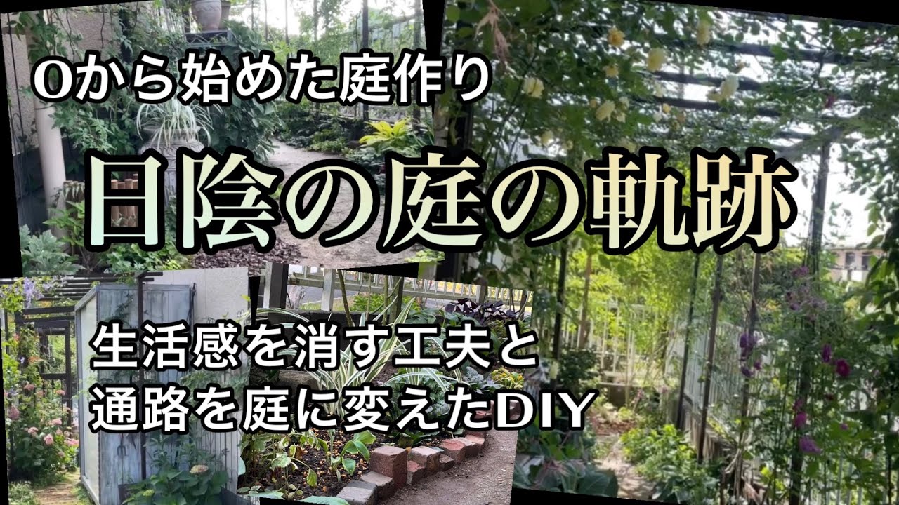 【通路に作った日陰の庭・11年の軌跡】ガーデンDiy