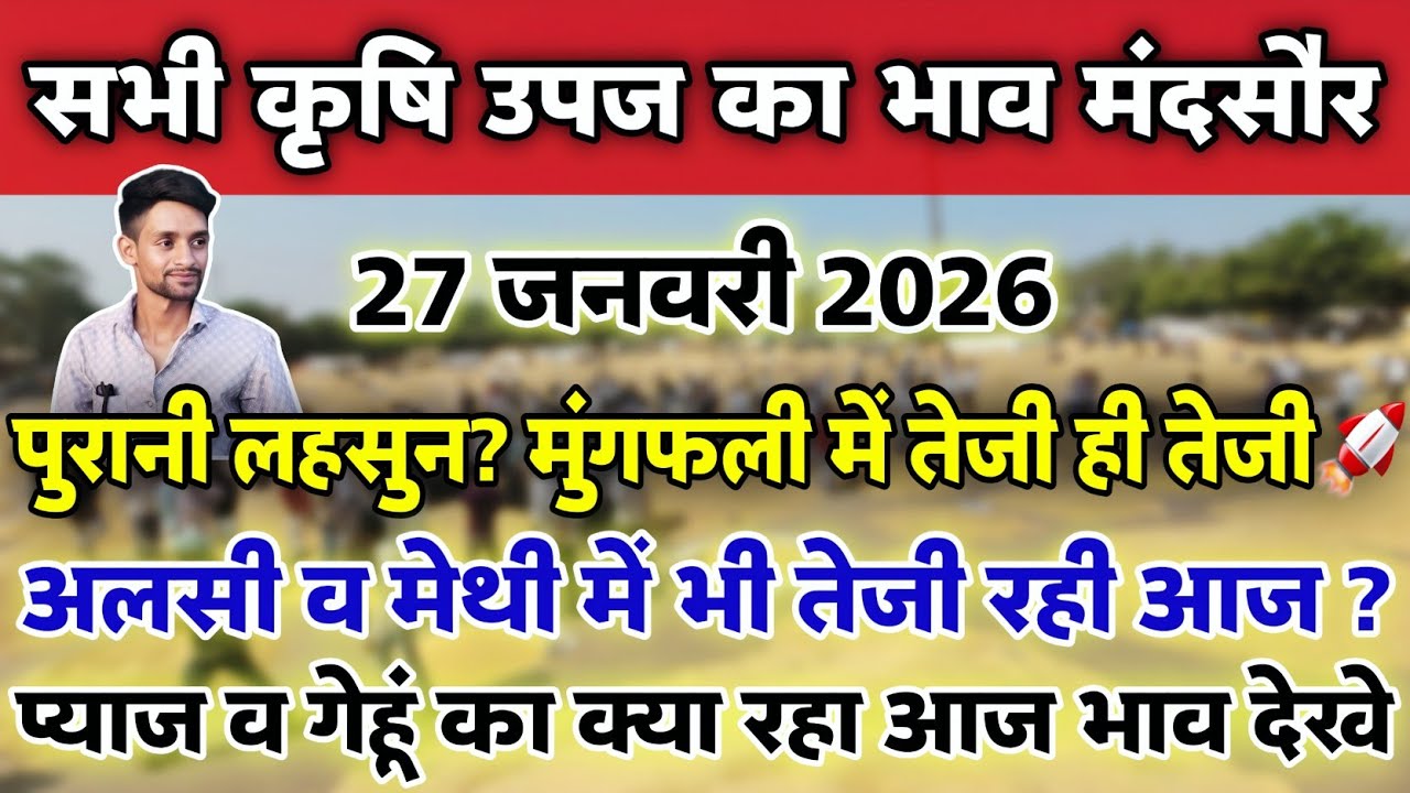 सभी कृषि उपज का भाव मंदसौर मंडी 27 जनवरी 2026 | Mandsaur Mandi ka bhav #mandsaur_mandi_bhav 