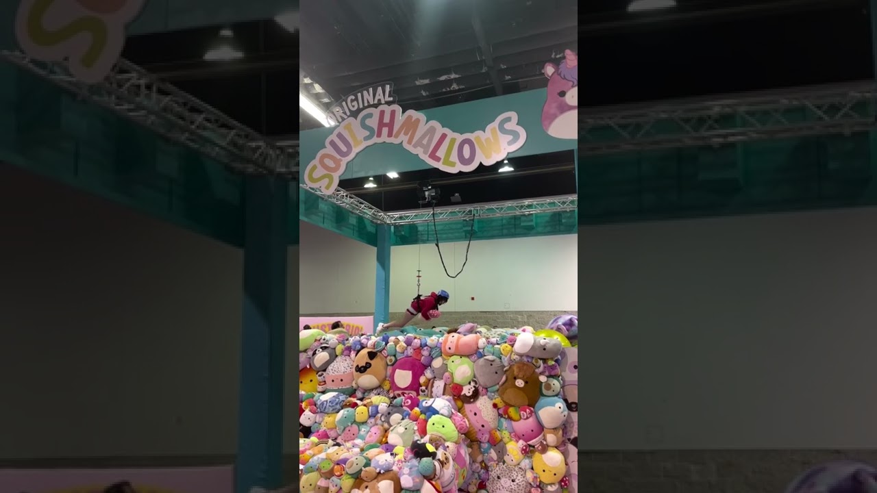 Это человеческая #когтематическая машина #Squishmallows на #VidCon! #шорты #vidcon2022