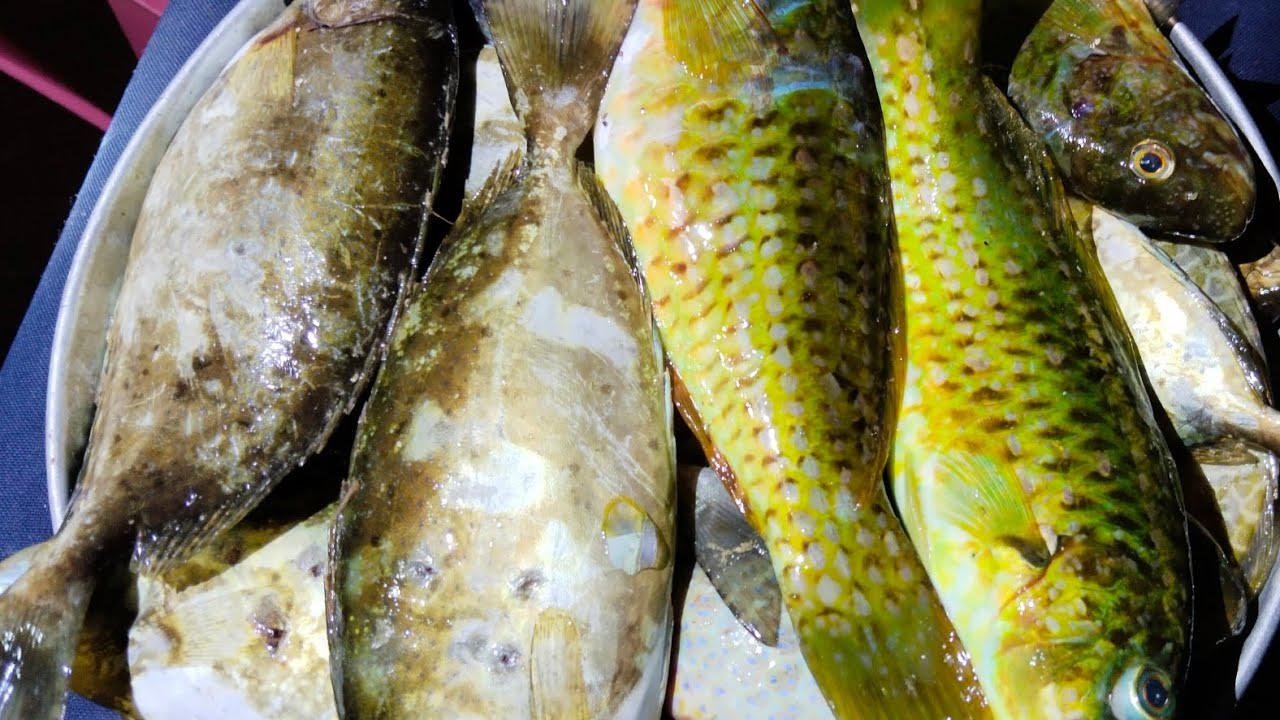 Tirada napud ta sa dagat lods adventure fishing ibaibang huli‼️ #RABYVLOG #originalvideo.