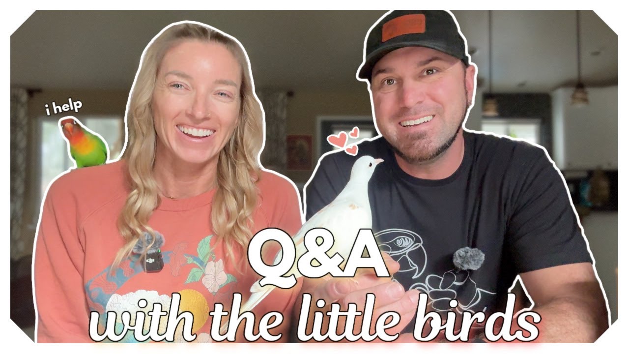 Tiny Birds, Big Questions: Q&A With Our Smallest Flock Members!