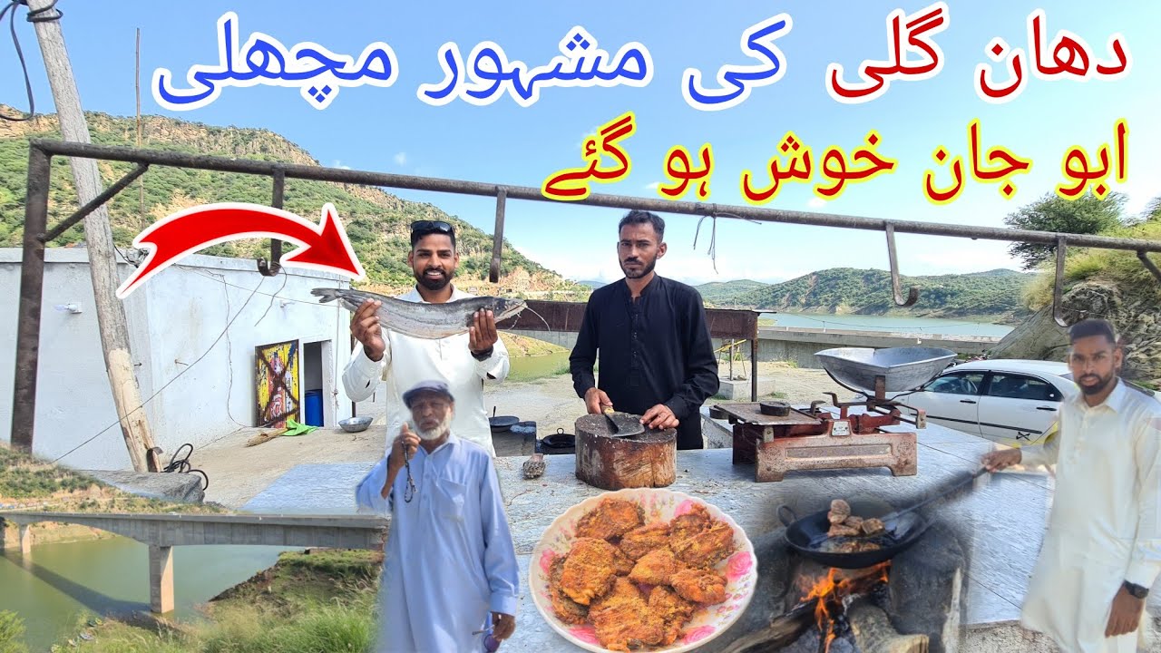 Famous Fry Fish in Dangali Bridge Dadyal Azad Kashmir | By Road View Ratta,Surkhi | Dangali Bridge