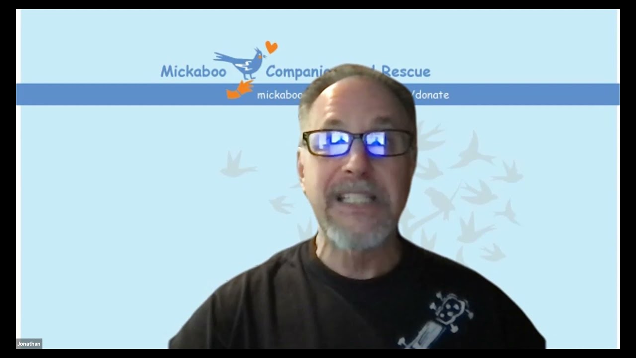 Mickaboo Virtual Adoption Fair, 25 July 2021