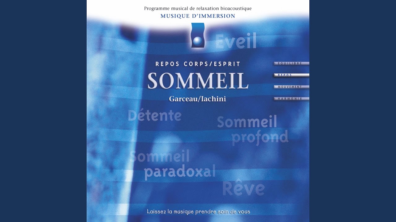 Immersom 4