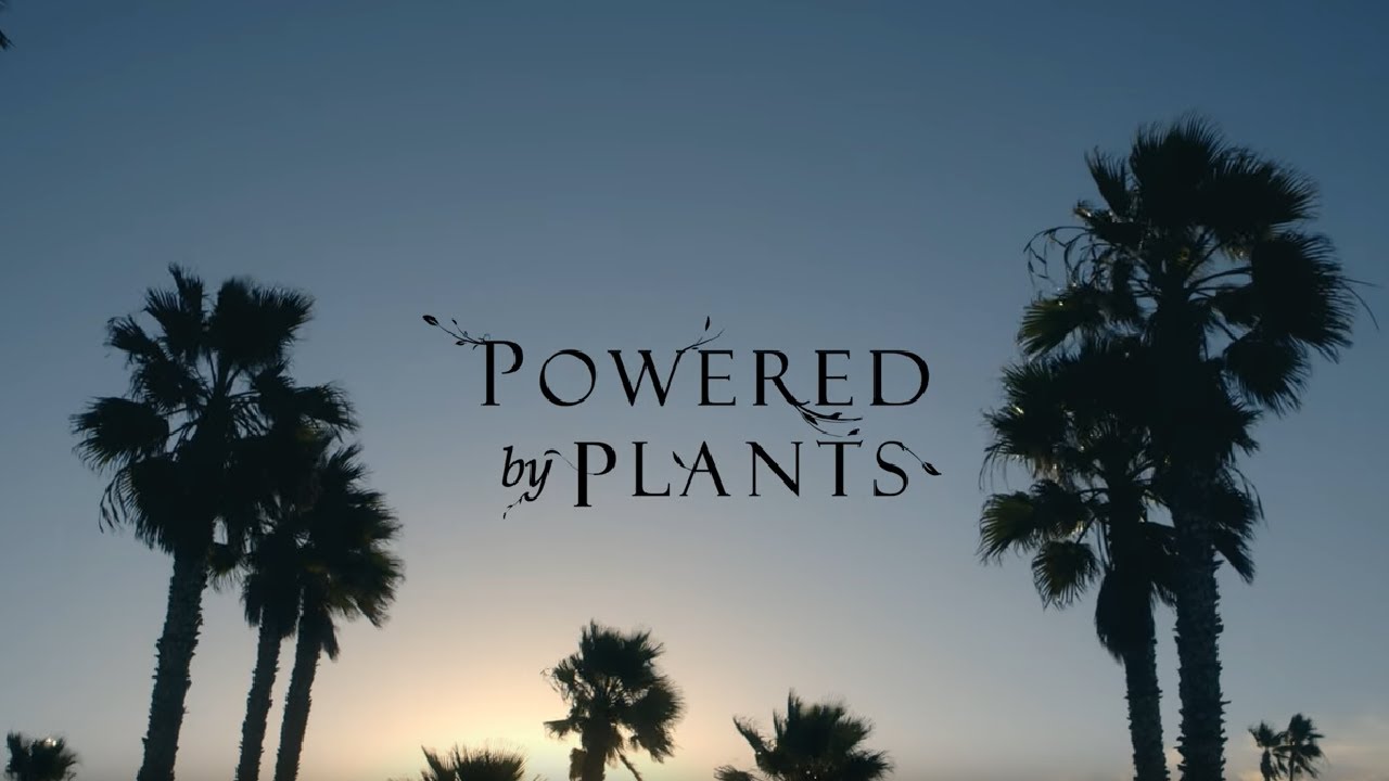 Tia Blanco-- Powered By Plants