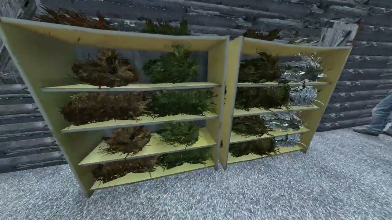 Fur Trader Cabin Json Dayz Console