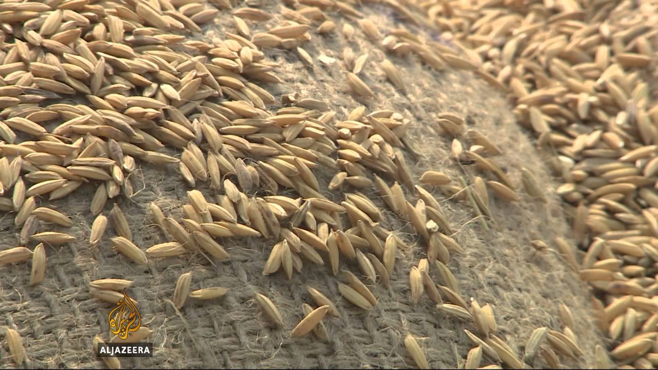 India to review food subsidy programme