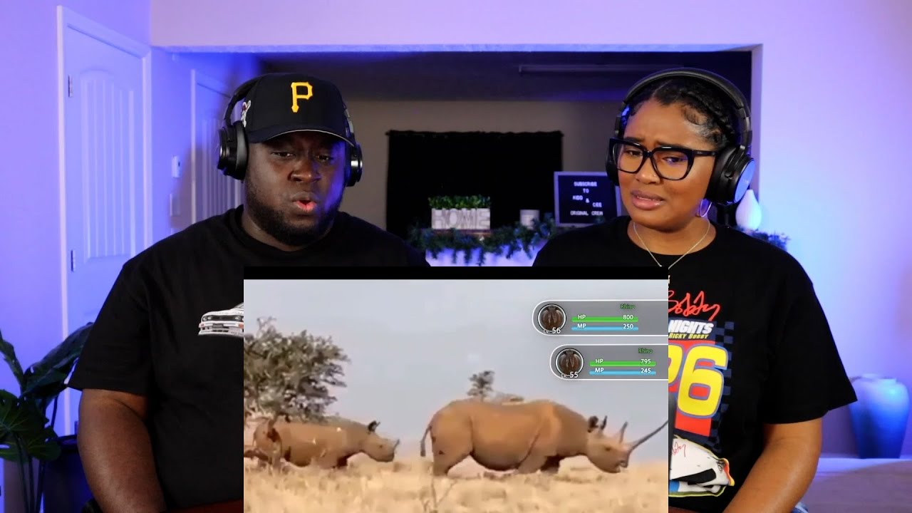 Kidd and Cee Reacts To Are Rhinos OP (Tier Zoo)