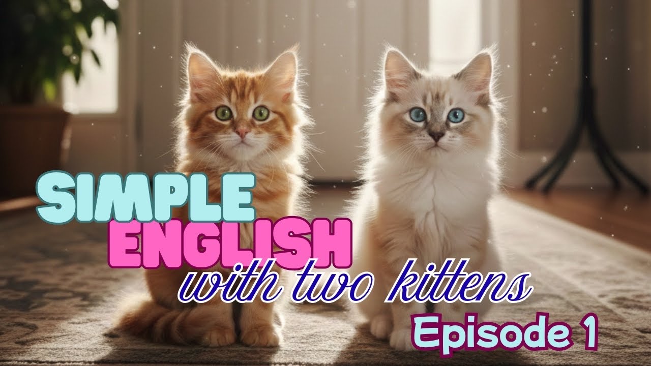 Simple English with two Kittens| Episode 1 Secret Toy