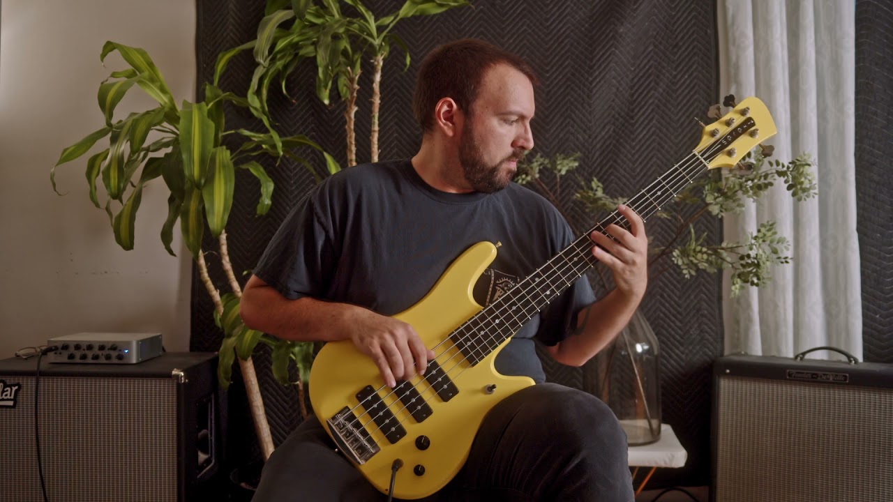 Cryptodira - Ontology of Pain (Bass Playthrough)