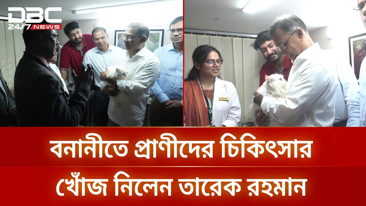 বনানীতে প্রাণীদের চিকিৎসার খোঁজ নিলেন তারেক রহমান | DBC NEWS