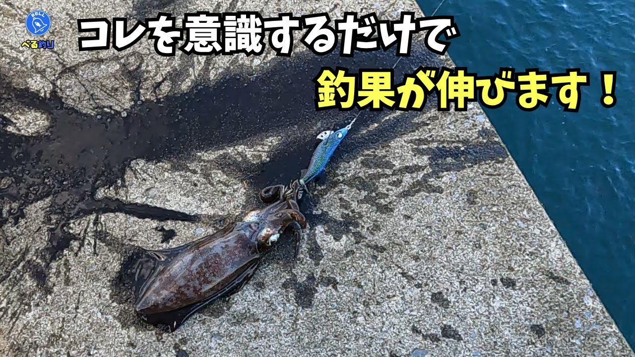 エギング初心者が釣果を伸ばすために最も重要なことはコレ！