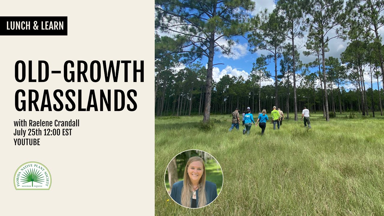 L&L: Old Growth Grasslands with Raelene Crandall