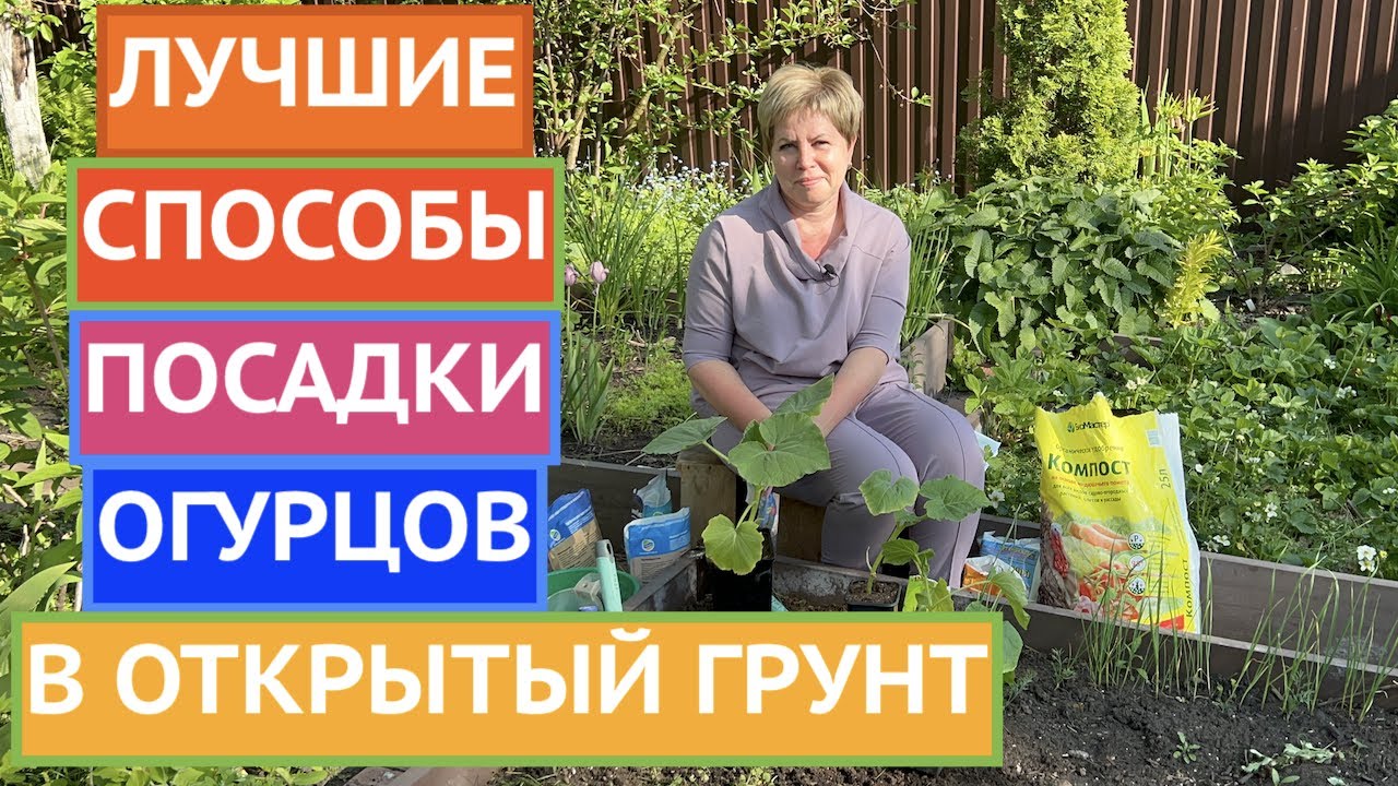 ТОП-3 СПОСОБА ПОСАДКИ ОГУРЦОВ В ОТКРЫТЫЙ ГРУНТ!