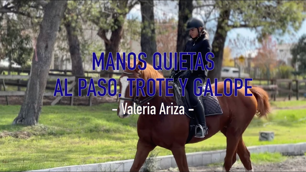 Cómo lograr Manos Quietas: al Paso, Trote y Galope