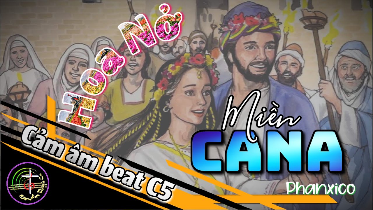 Cảm âm beat C5 || HOA NỞ MIỀN CANA - Phanxico ||  Video cảm âm Full HD