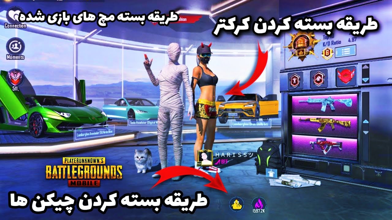 طریقه بسته کردن چیکن و پروفایل خود در پابجی مبایل 🔥 PUBG MOBILE