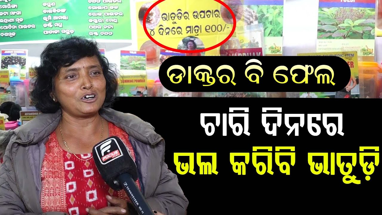 ଡାକ୍ତର ବି ଫେଲ ଚାରି ଦିନରେ ଭଲ କରିବି ଭାତୁଡ଼ି  ll FOCUS PLUS ||