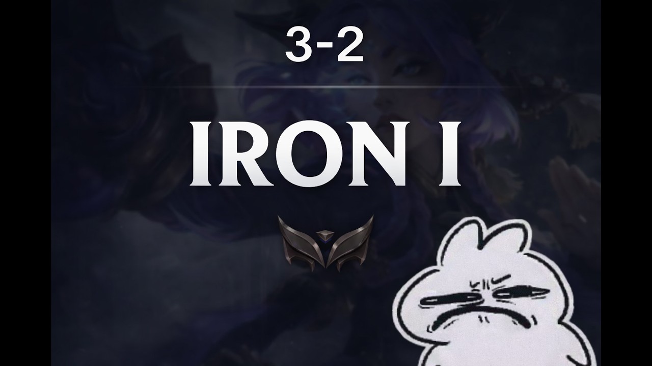 My Placement