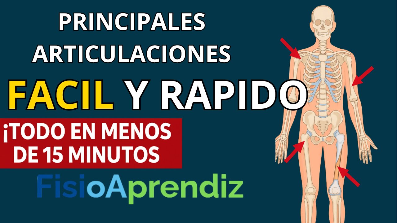 ¿Sabes cuántas articulaciones tiene tu cuerpo?