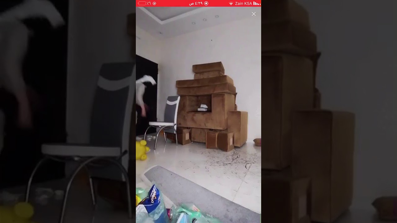 بث توماس.  بيقو لايف.  طب عليه ابوه