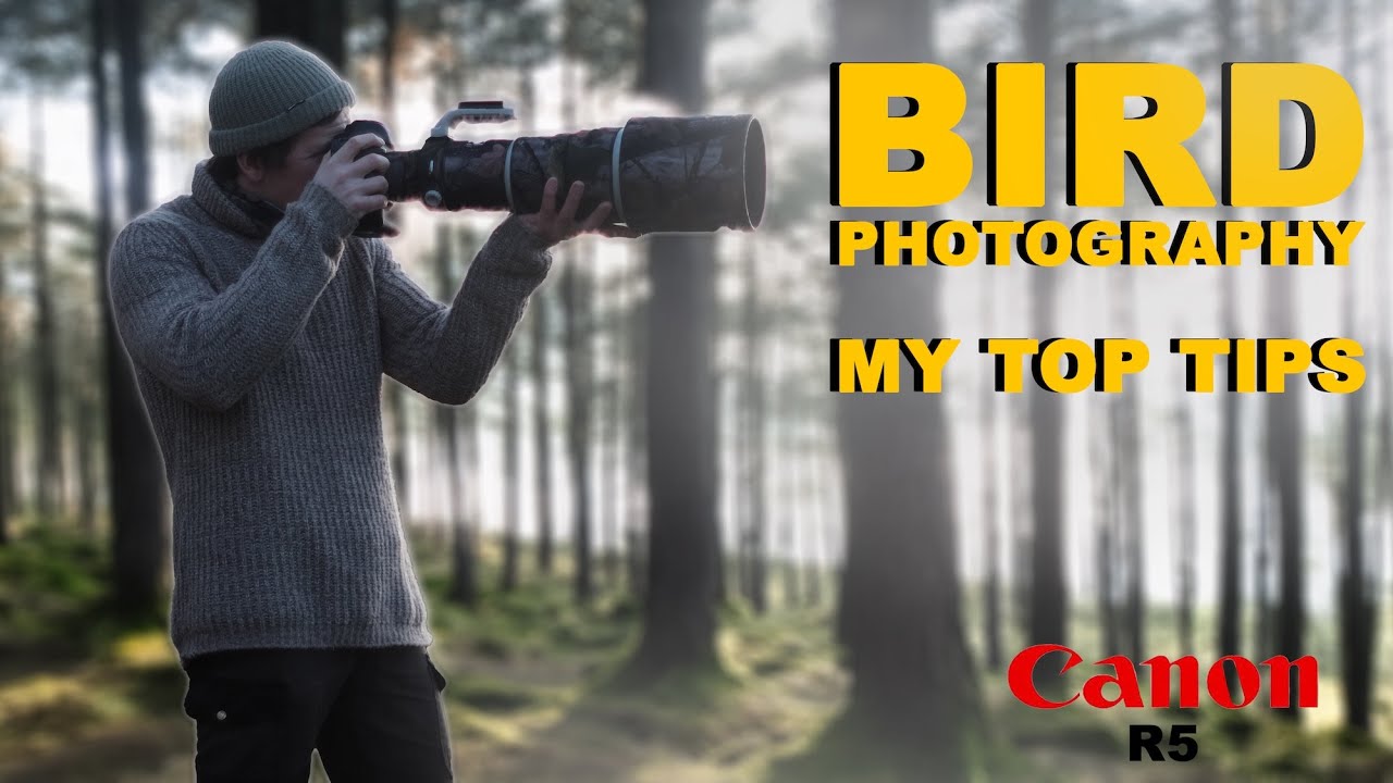 UK Bird Photography Tips
