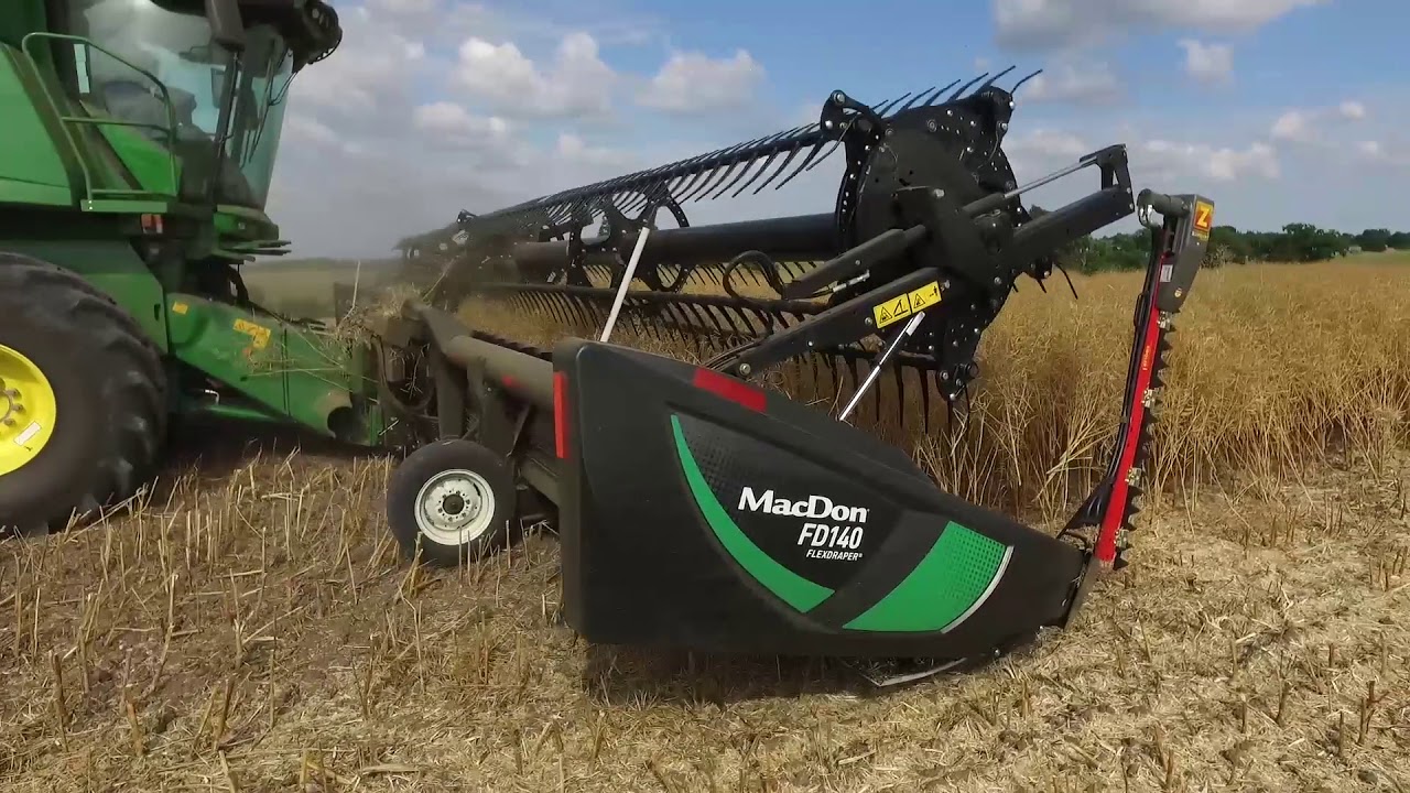 Oilseed Rape Harvest - MacDon FD1 FlexDraper in OSR