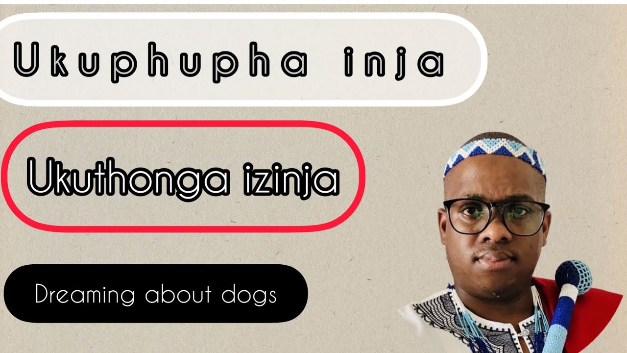 Ukuphupha Inja  #dreams