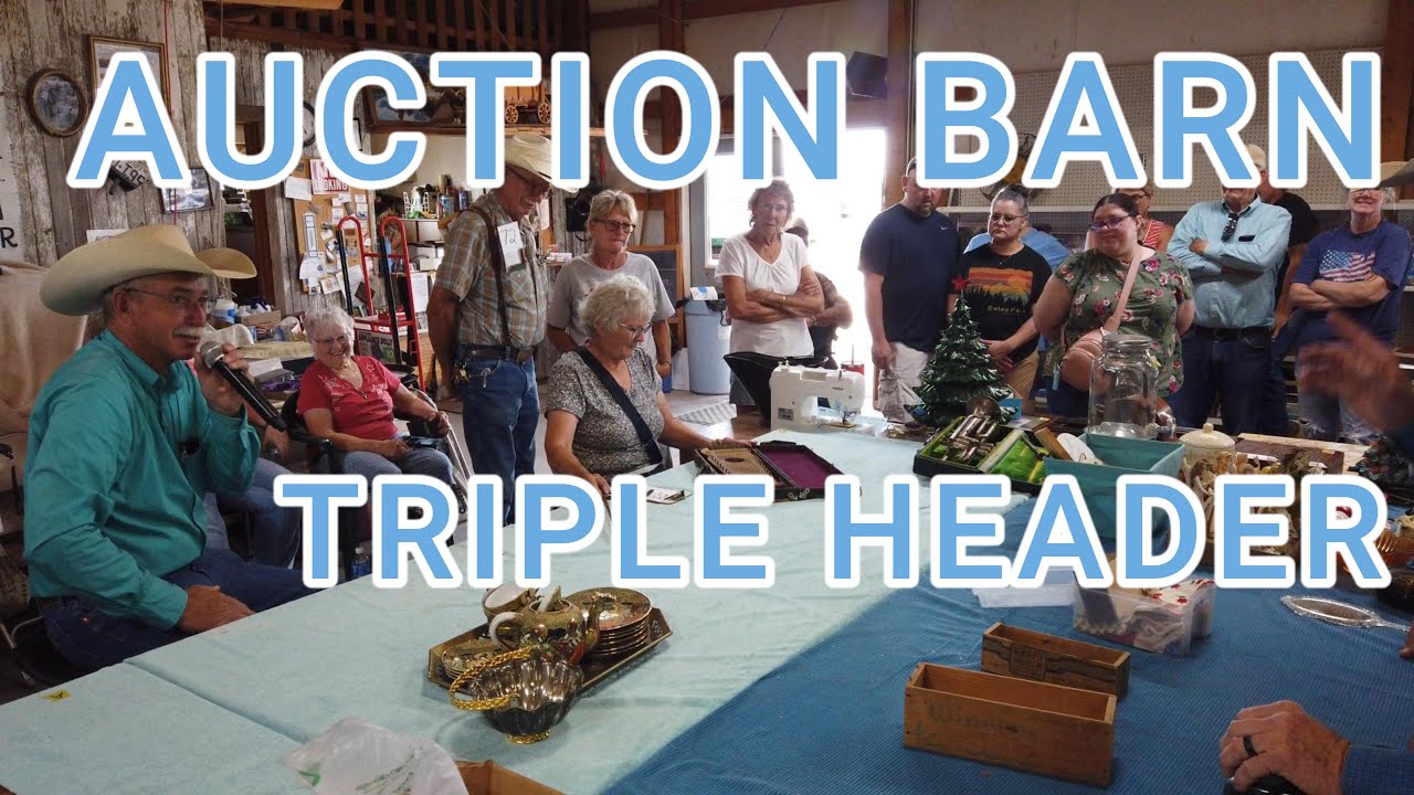 Three Times The Fun Auction Barn Afternoon Steins, Massive Light House Collection, Antique Furniture