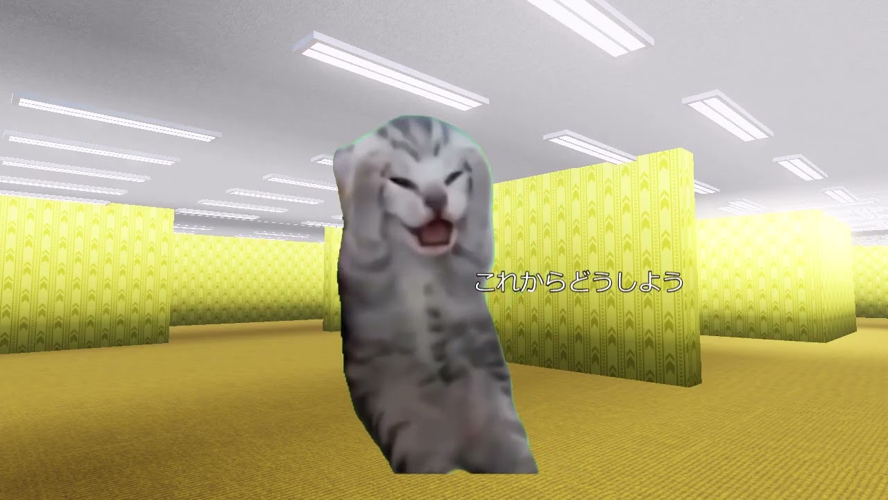 ハッピーキャットバックルーム編1話 #shorts #猫ミーム #猫マニ