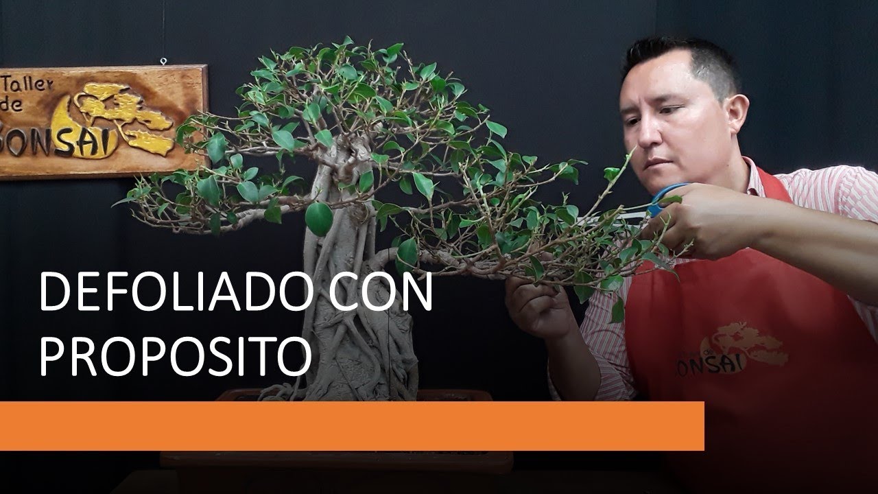 Defoliado con Propósito