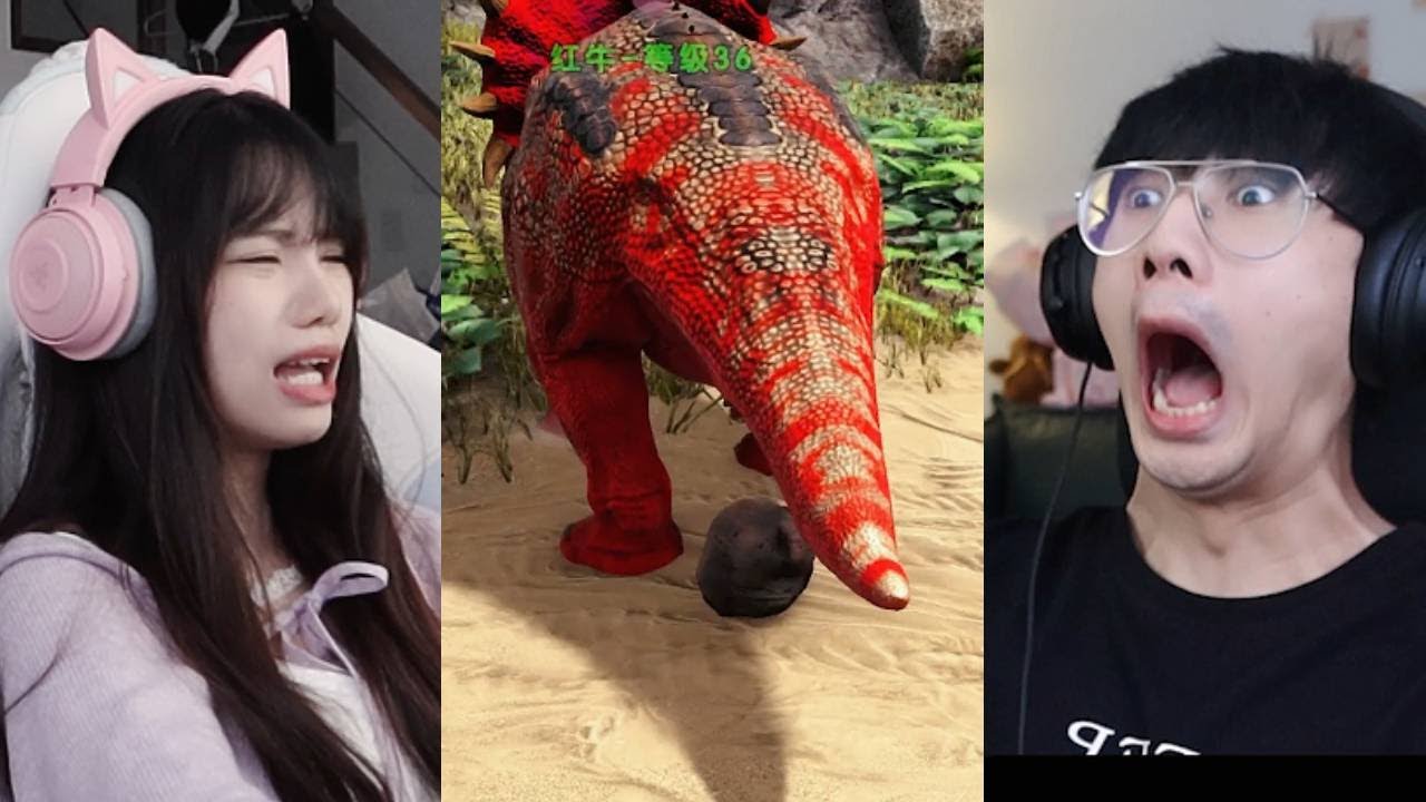 GAMER  Best Couple Gaming：馴龍高手的隕落#vocal  Mobile Games Computer Games#games #funny #周周和庄庄