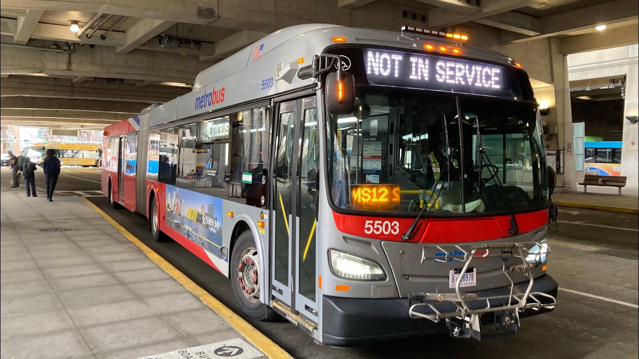 WMATA Metrobus 2020 New Flyer XD60 5503 On Route S2 Ride