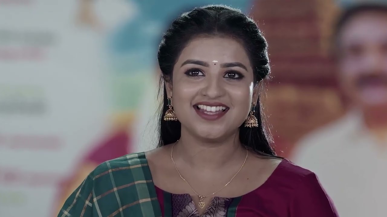 Karthigai Deepam - Full Ep - 877 - Karthikeyan, Deepa, Abirami - Zee Tamil
