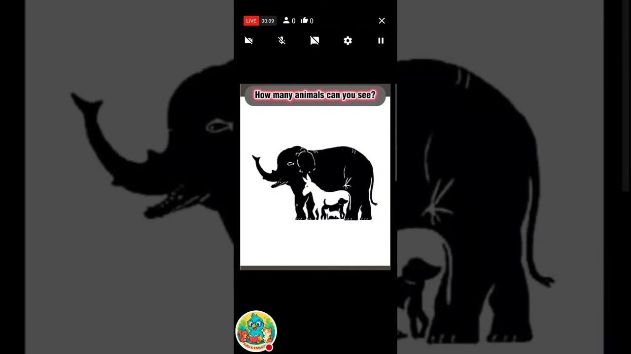 How many animals can you see???