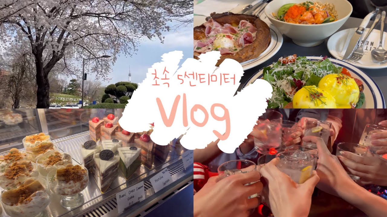 🌸 vlog | 꽃 보고 밥 먹는 일상 • 한남동 정복 🐾• 앞머리 실패️✂ • 그대는 시험이 두렵지 않은가..?