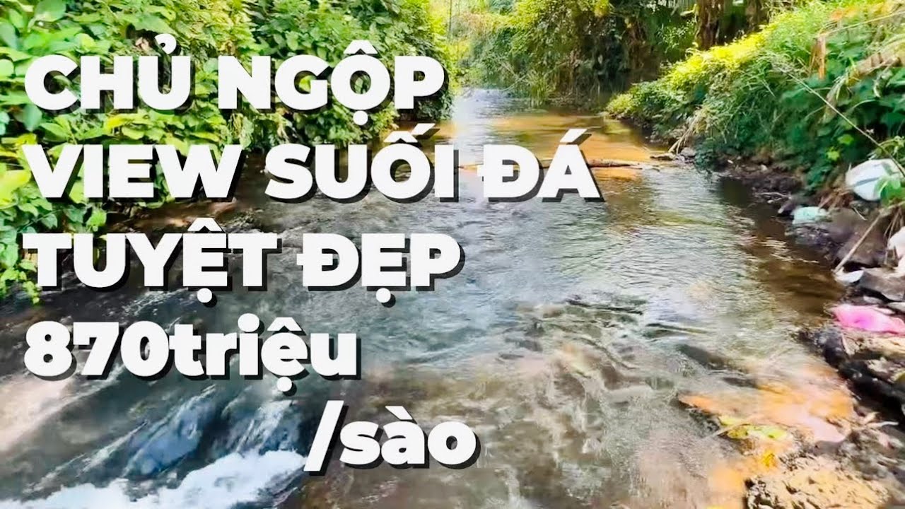 Chủ ngộp giảm giá cần bán gấp đất vườn giáp suối tuyệt đẹp ngay trung tâm BR-VT