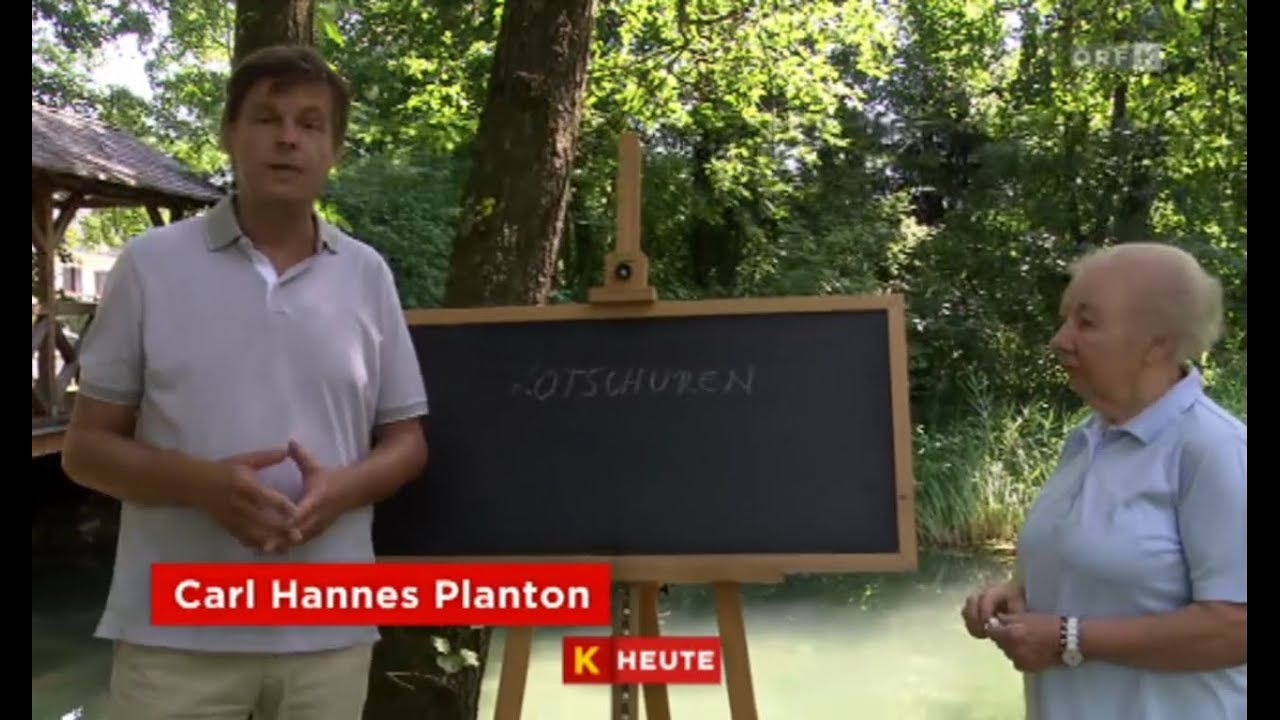 Kärntnerisch g'redt - 