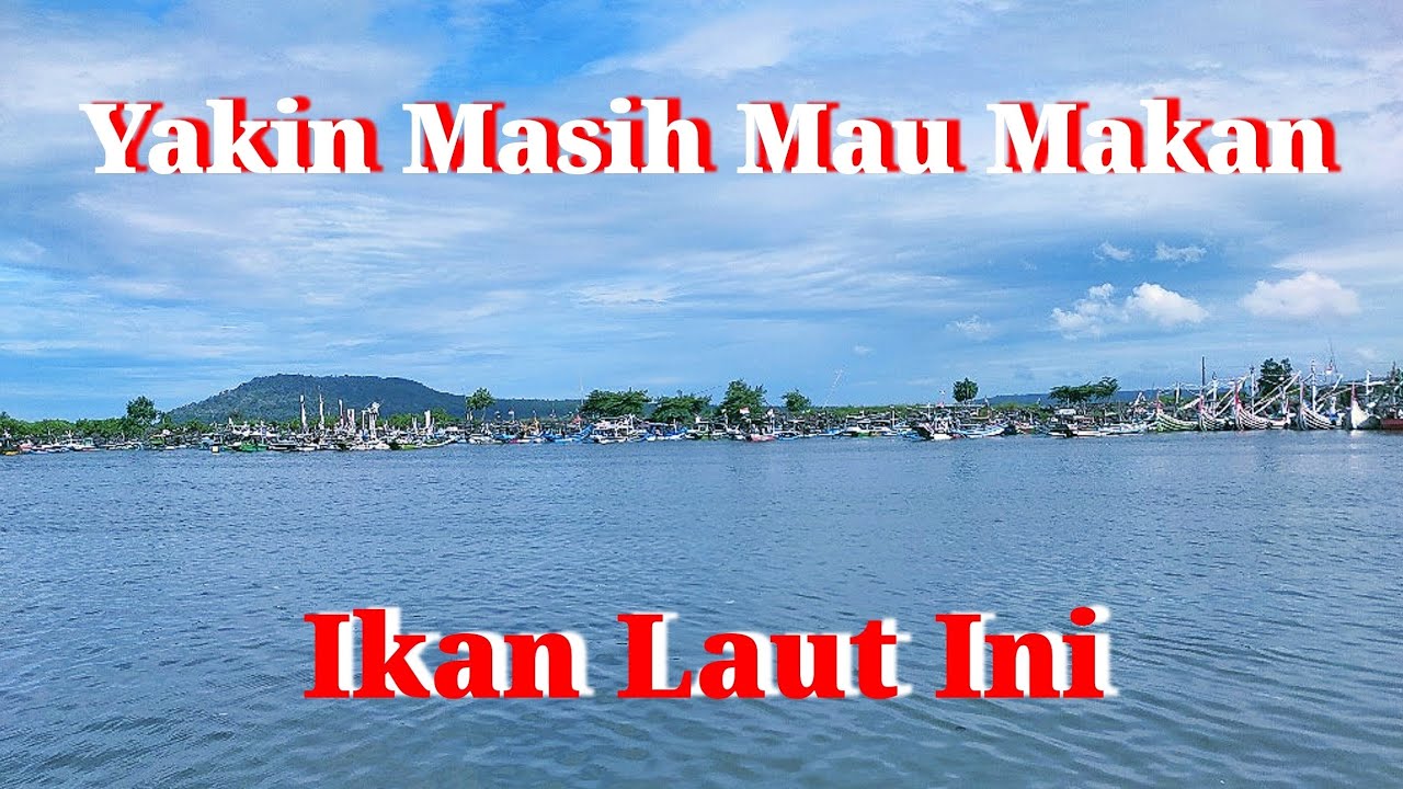 Proses Sederhana Pembuatan Ikan Asin || @Gelatikgirl