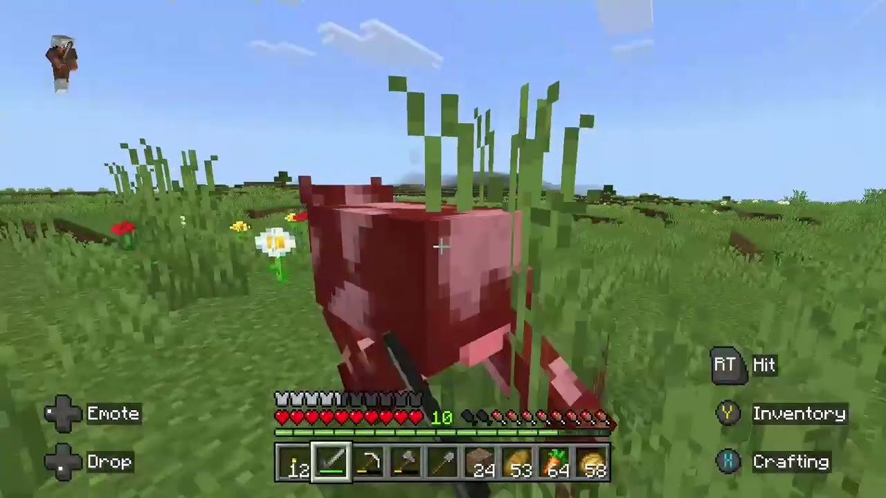 Minecraft Stream 2