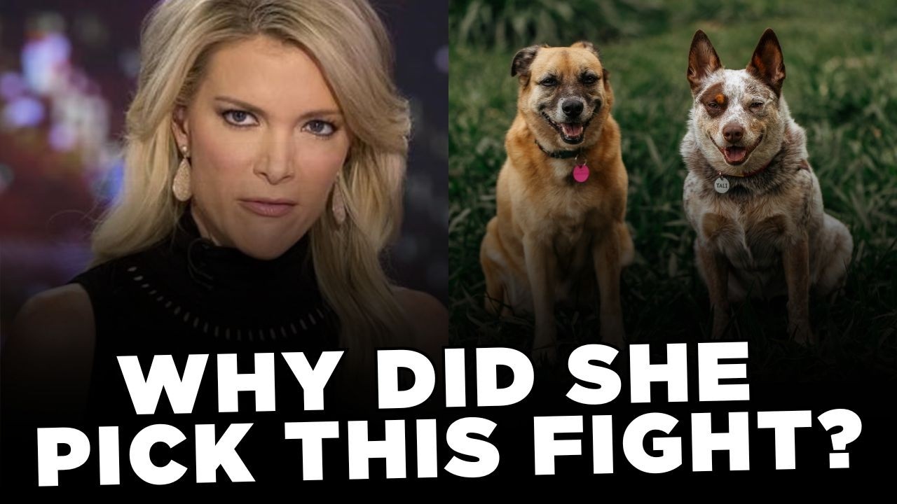 Megyn Kelly MELTS DOWN Over Randy Fine Tweet Then Threatens to DOX Insurrection Barbie?