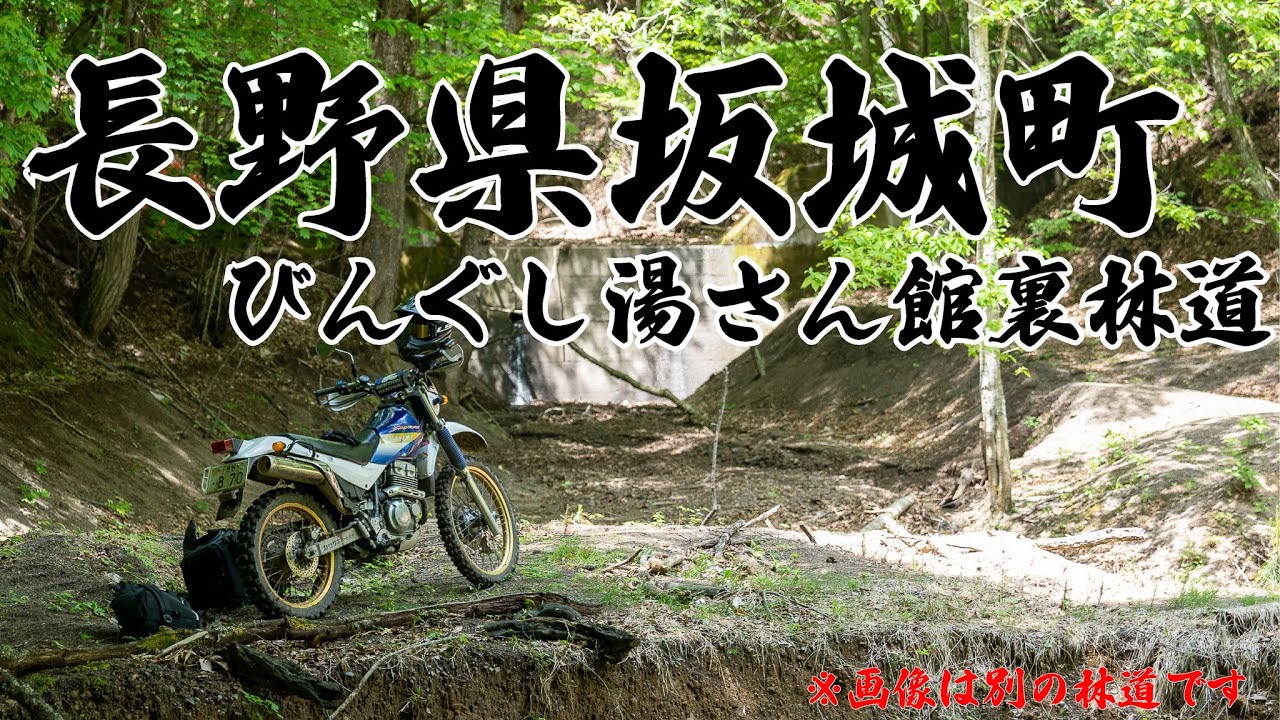 【林道】びんぐし湯さん館裏